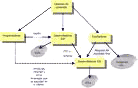 rendering workflow